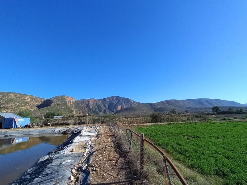Farm For Sale in Calitzdorp Rural - Photo 4