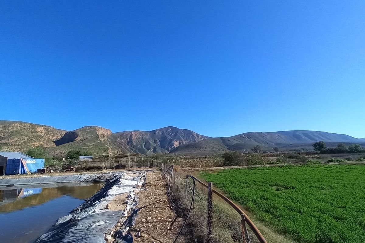 Farm For Sale in Calitzdorp Rural - Photo 4