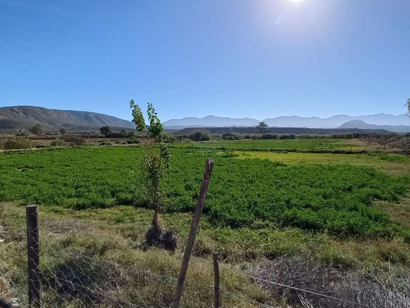 Farm For Sale in Calitzdorp Rural - Photo 9