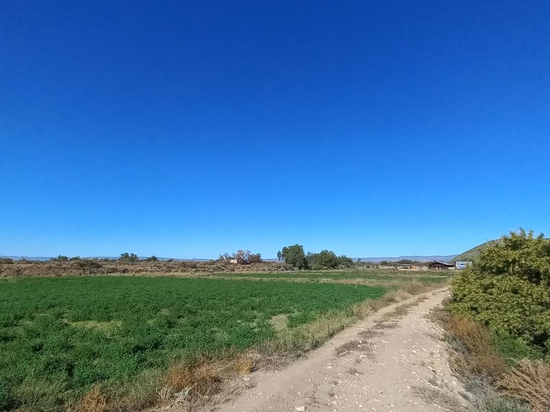 Farm For Sale in Calitzdorp Rural - Photo 3