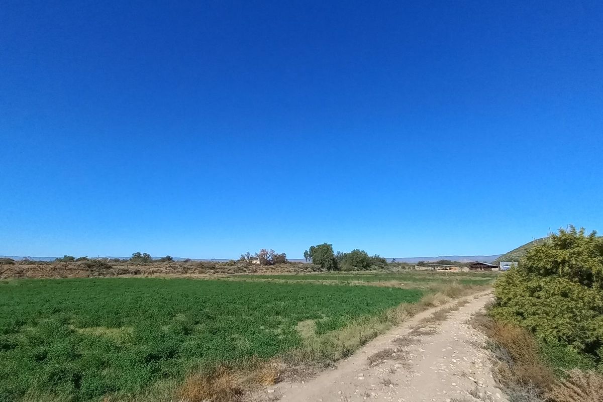 Farm For Sale in Calitzdorp Rural - Photo 3