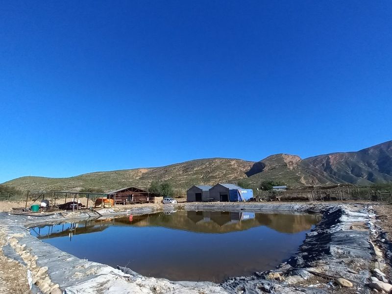 Farm For Sale in Calitzdorp Rural - Photo 5