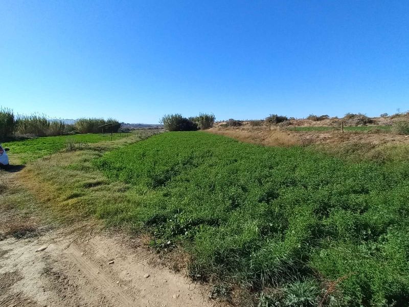 Farm For Sale in Calitzdorp Rural - Photo 2