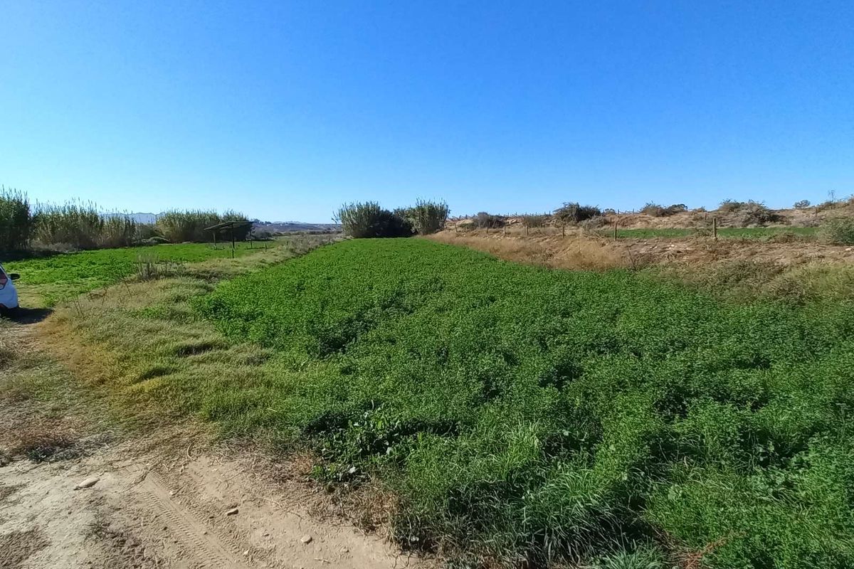 Farm For Sale in Calitzdorp Rural - Photo 2