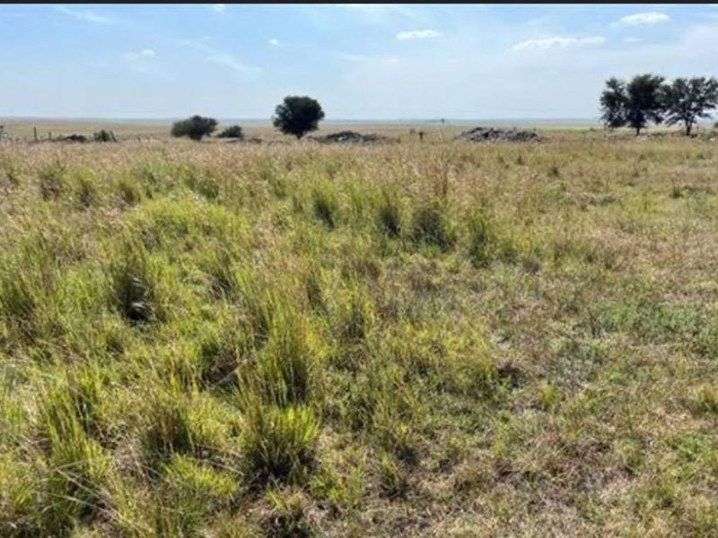 Vacant Land Residential For Sale in Eendracht - Photo 2