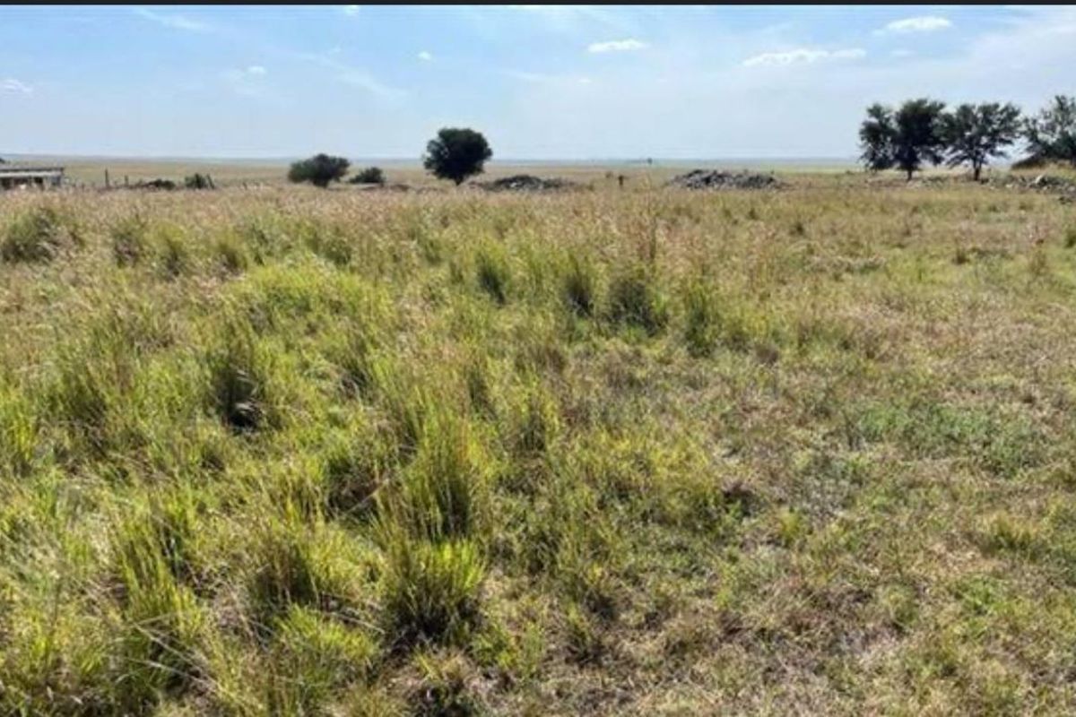 Vacant Land Residential For Sale in Eendracht - Photo 2