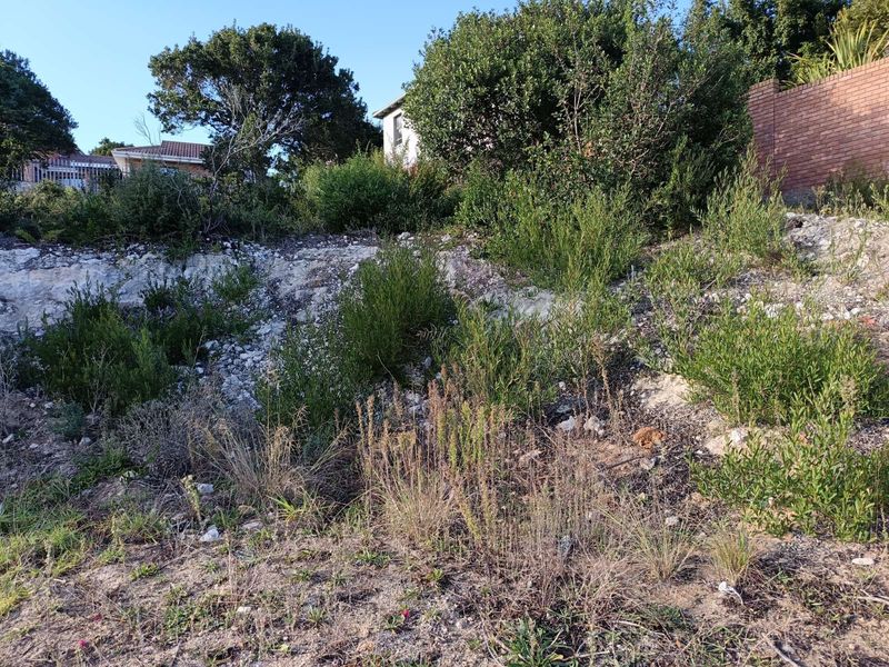 Vacant Land Residential For Sale in Bergsig - Photo 2