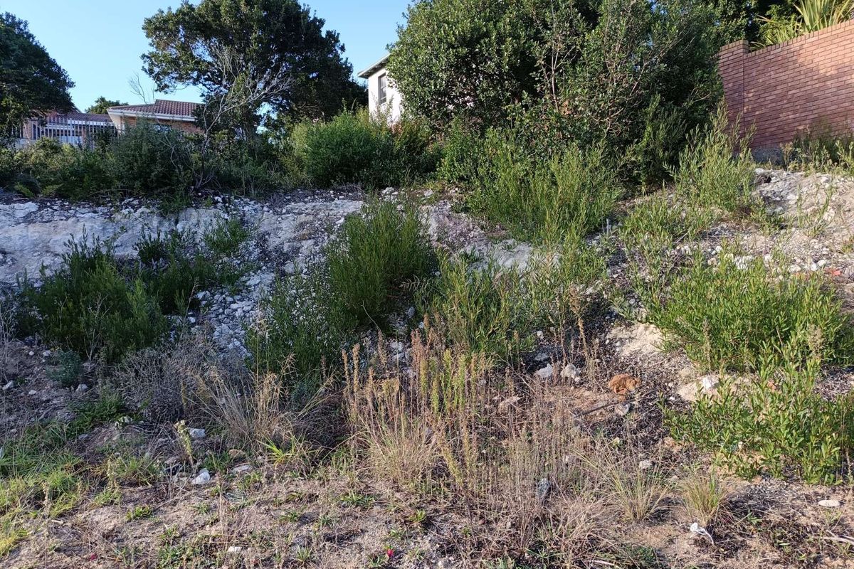 Vacant Land Residential For Sale in Bergsig - Photo 2