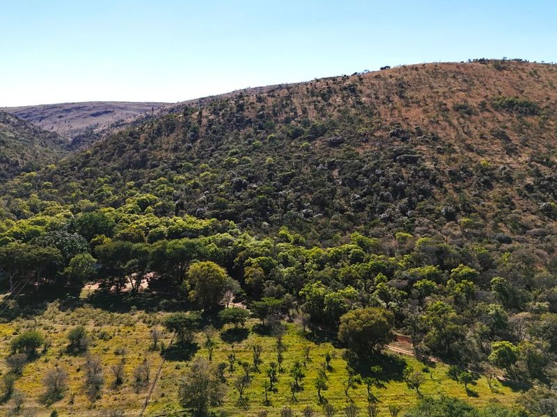 Farm For Sale in Modimolle Rural - Photo 5