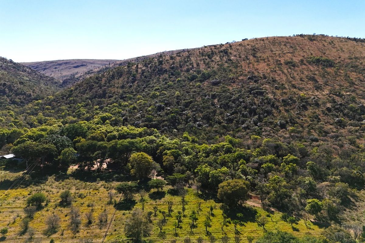 Farm For Sale in Modimolle Rural - Photo 5