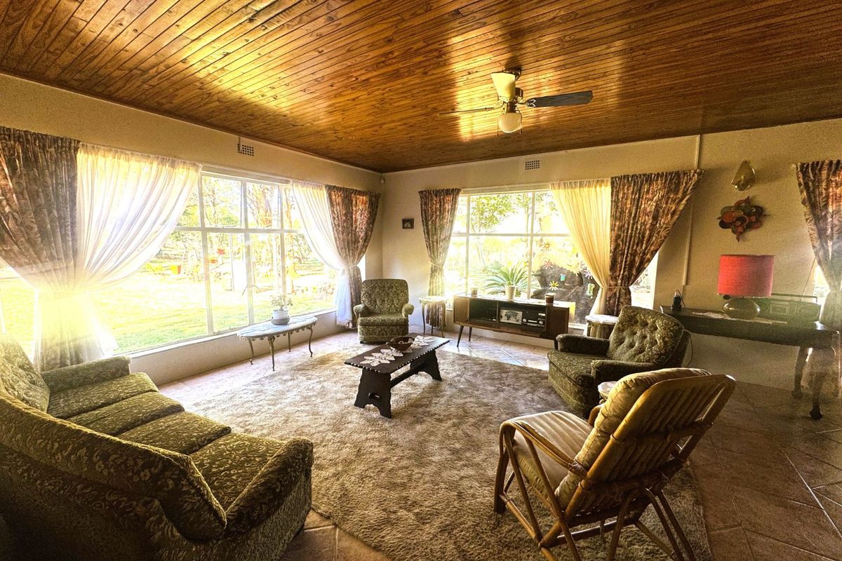 Spacious living room featuring a warm timber-clad ceiling, large windows providing ample natural light, and tiled flooring throughout.