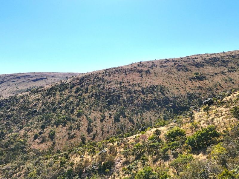 Farm For Sale in Modimolle Rural - Photo 3