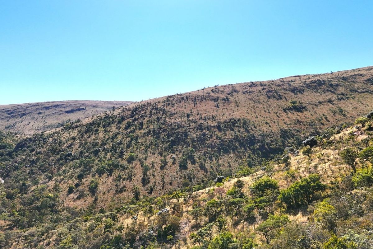 Farm For Sale in Modimolle Rural - Photo 3