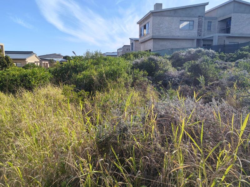 Vacant Land Residential For Sale in Moquini Coastal Estate - Photo 8