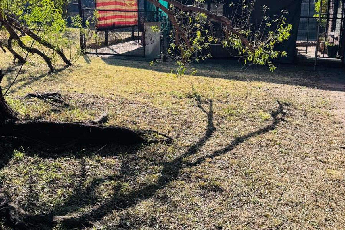 House For Sale in Tasbet Park - Photo 4