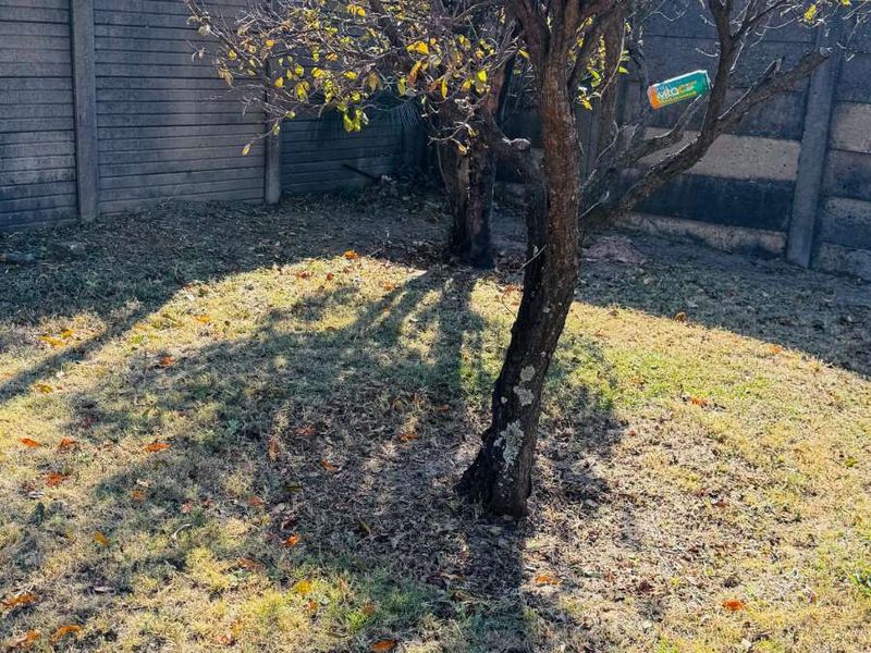 House For Sale in Tasbet Park - Photo 6