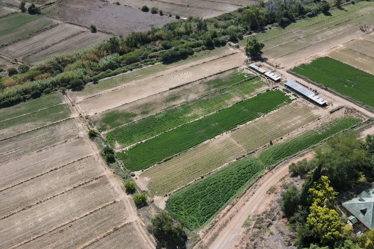 Farm For Sale in Oudtshoorn Rural - Photo 2