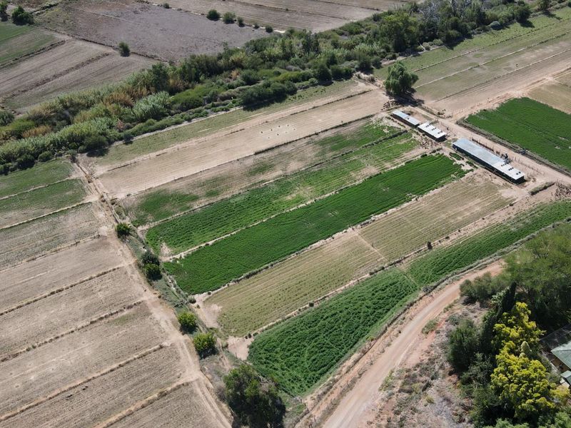 Farm For Sale in Oudtshoorn Rural - Photo 2