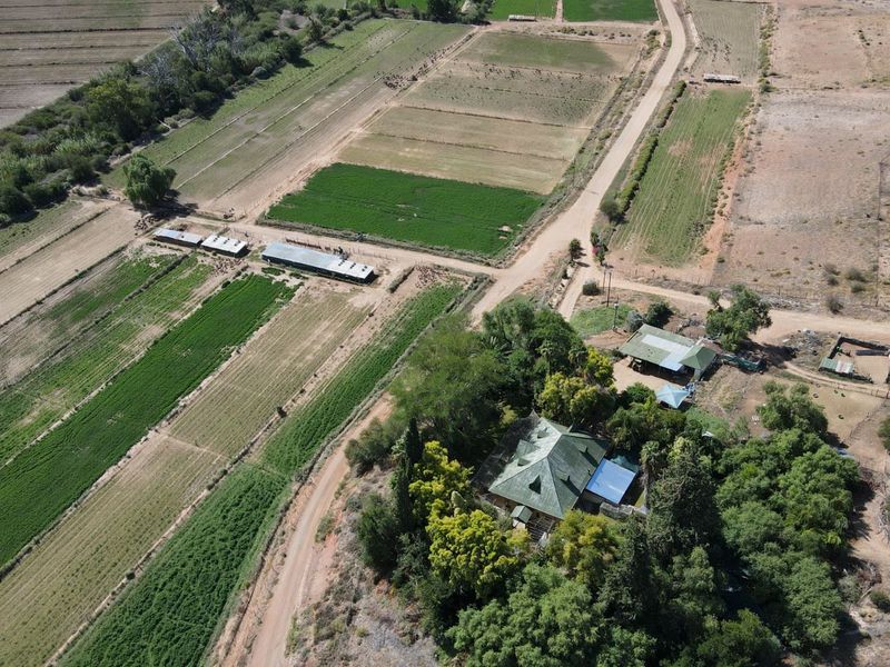 Farm For Sale in Oudtshoorn Rural - Photo 4