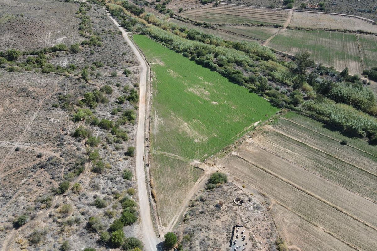 Farm For Sale in Oudtshoorn Rural - Photo 3