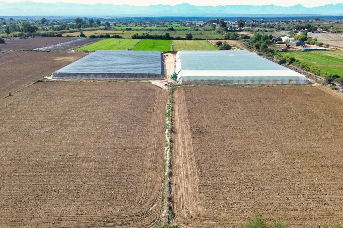 Farm For Sale in Oudtshoorn Rural - Photo 5