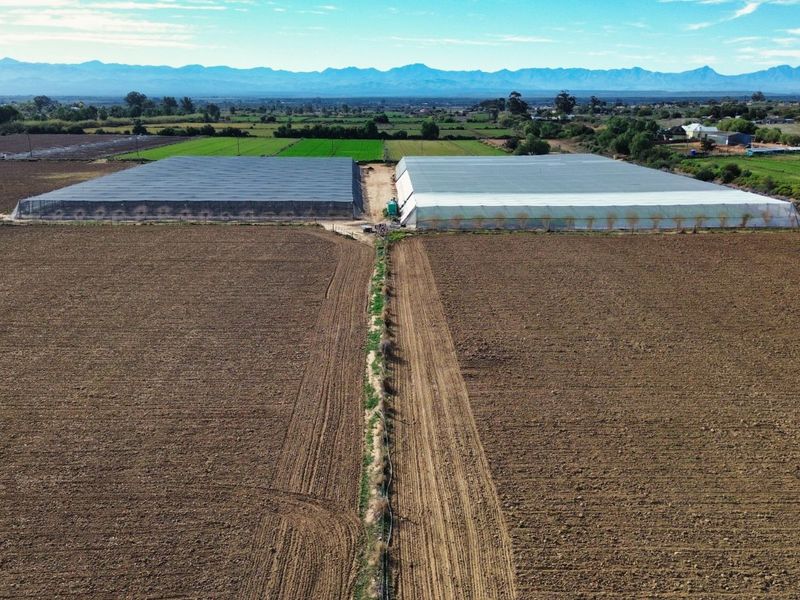 Farm For Sale in Oudtshoorn Rural - Photo 6