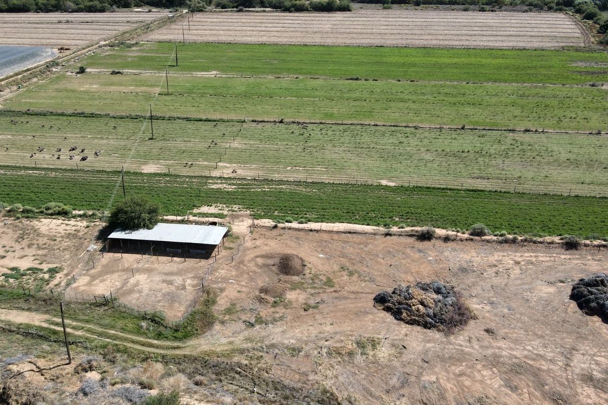 Farm For Sale in Oudtshoorn Rural - Photo 4