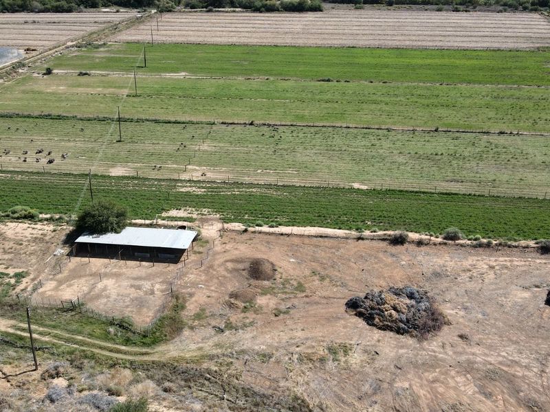 Farm For Sale in Oudtshoorn Rural - Photo 4