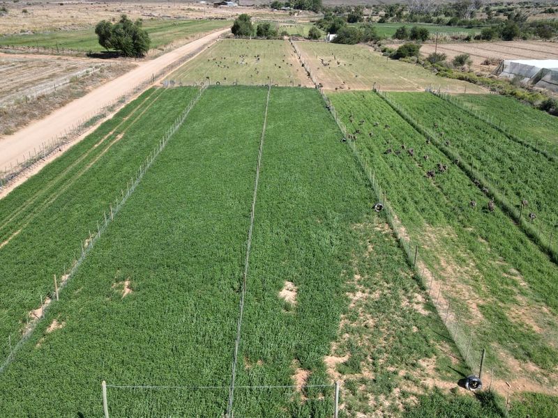 Farm For Sale in Oudtshoorn Rural - Photo 8