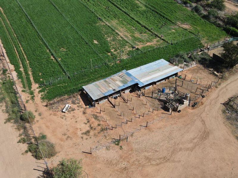 Farm For Sale in Oudtshoorn Rural - Photo 6