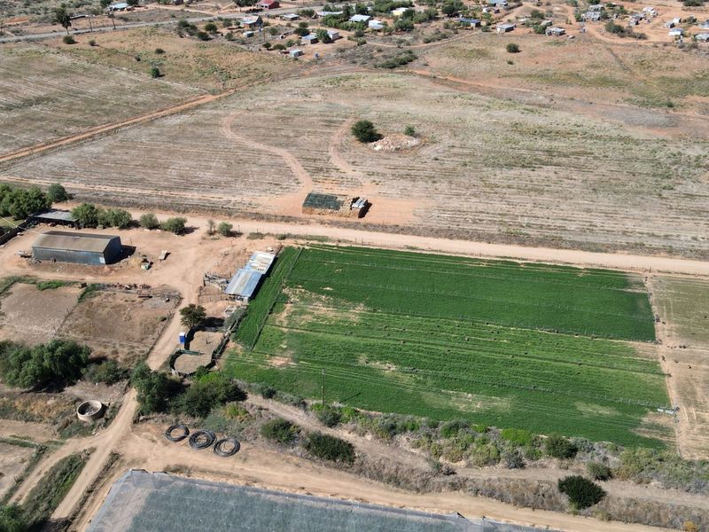 Farm For Sale in Oudtshoorn Rural - Photo 3