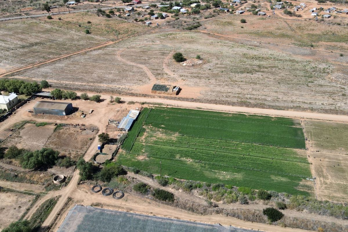 Farm For Sale in Oudtshoorn Rural - Photo 3