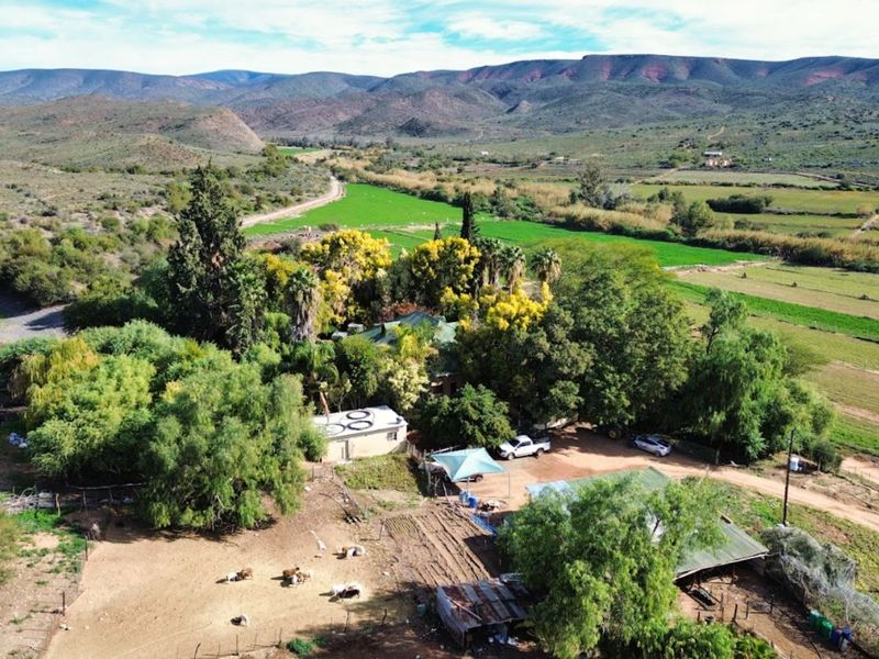 Farm For Sale in Oudtshoorn Rural - Photo 10