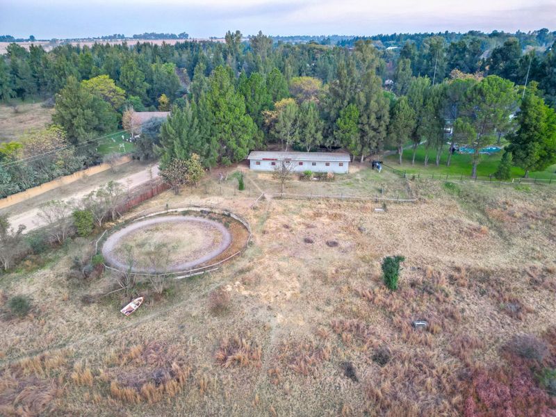 Farm For Sale in Lammermoor - Photo 7