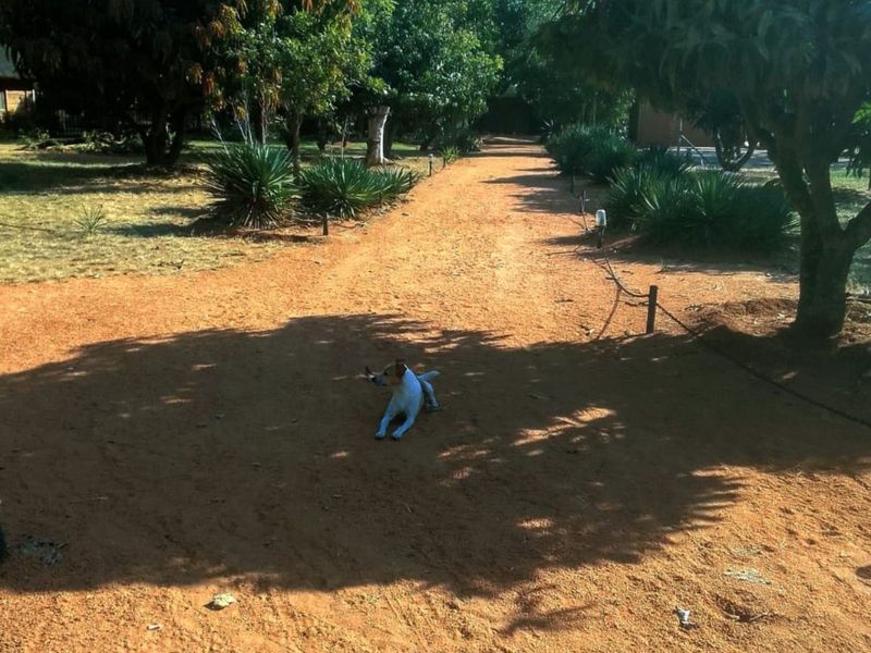 Farm For Sale in Pretoria North - Photo 9