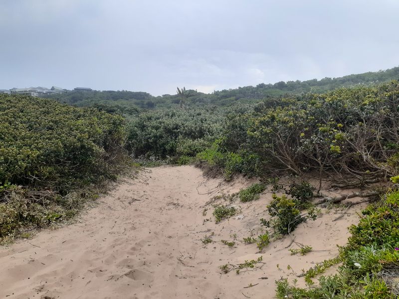 Farm For Sale in Blythedale Central - Photo 4