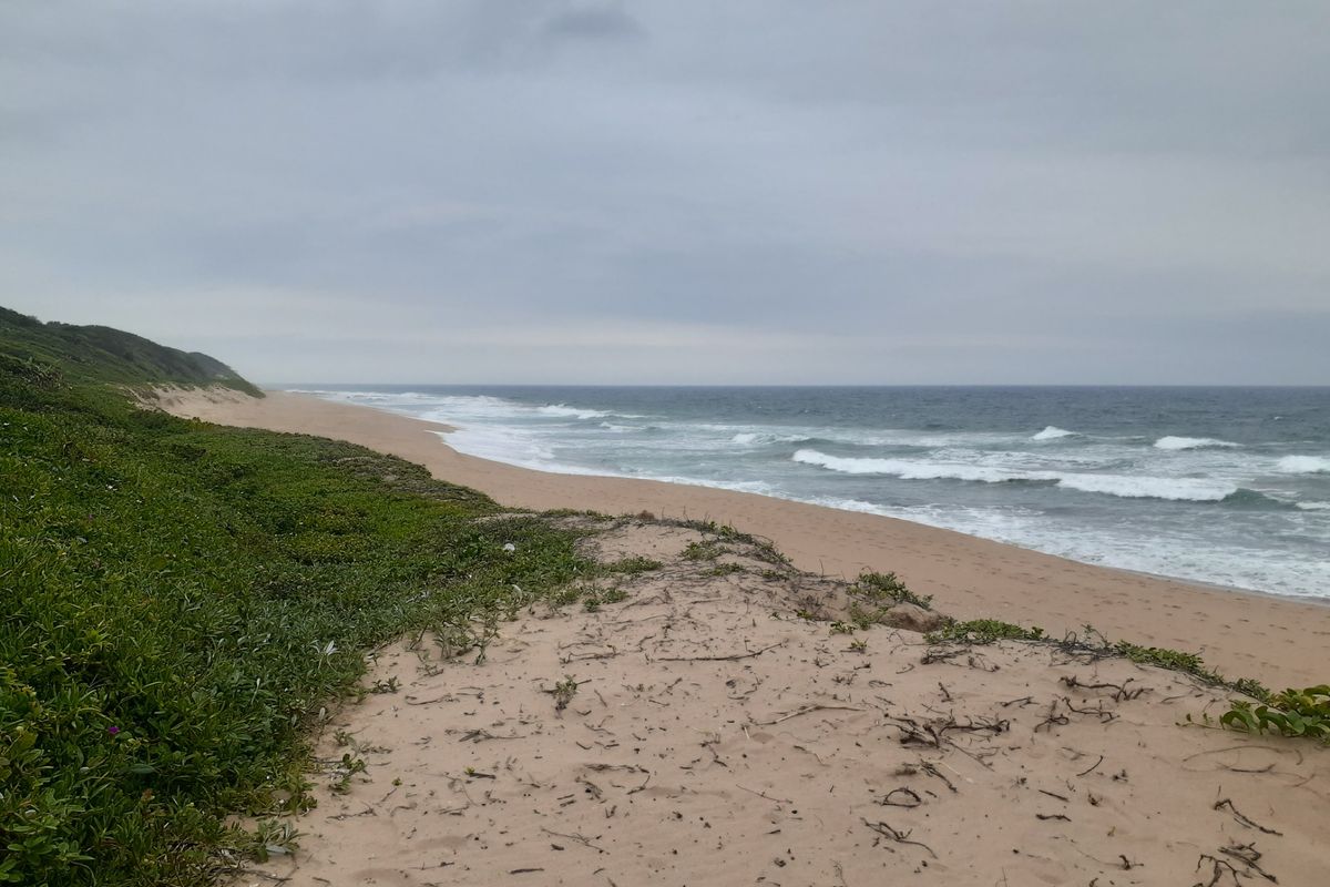 Farm For Sale in Blythedale Central - Photo 2