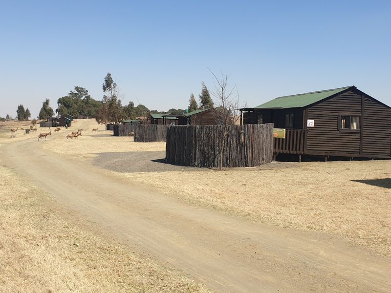 Farm For Sale in Morgenzon Central - Photo 8