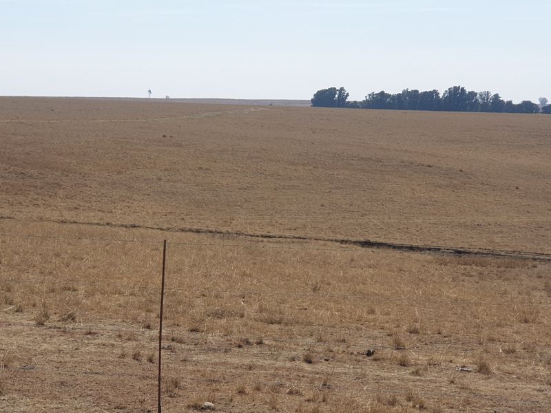 Farm For Sale in Morgenzon Central - Photo 9