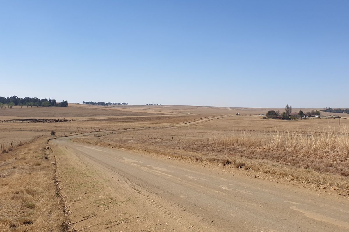 Farm For Sale in Morgenzon Central - Photo 5