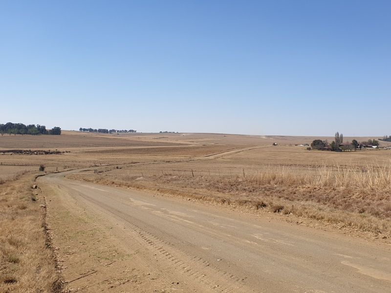 Farm For Sale in Morgenzon Central - Photo 5