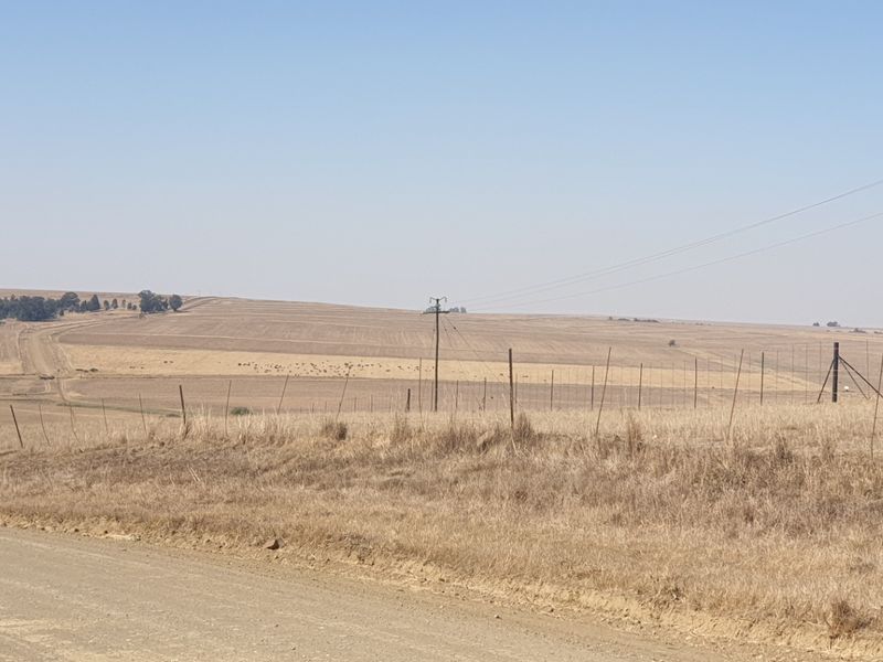 Farm For Sale in Morgenzon Central - Photo 7