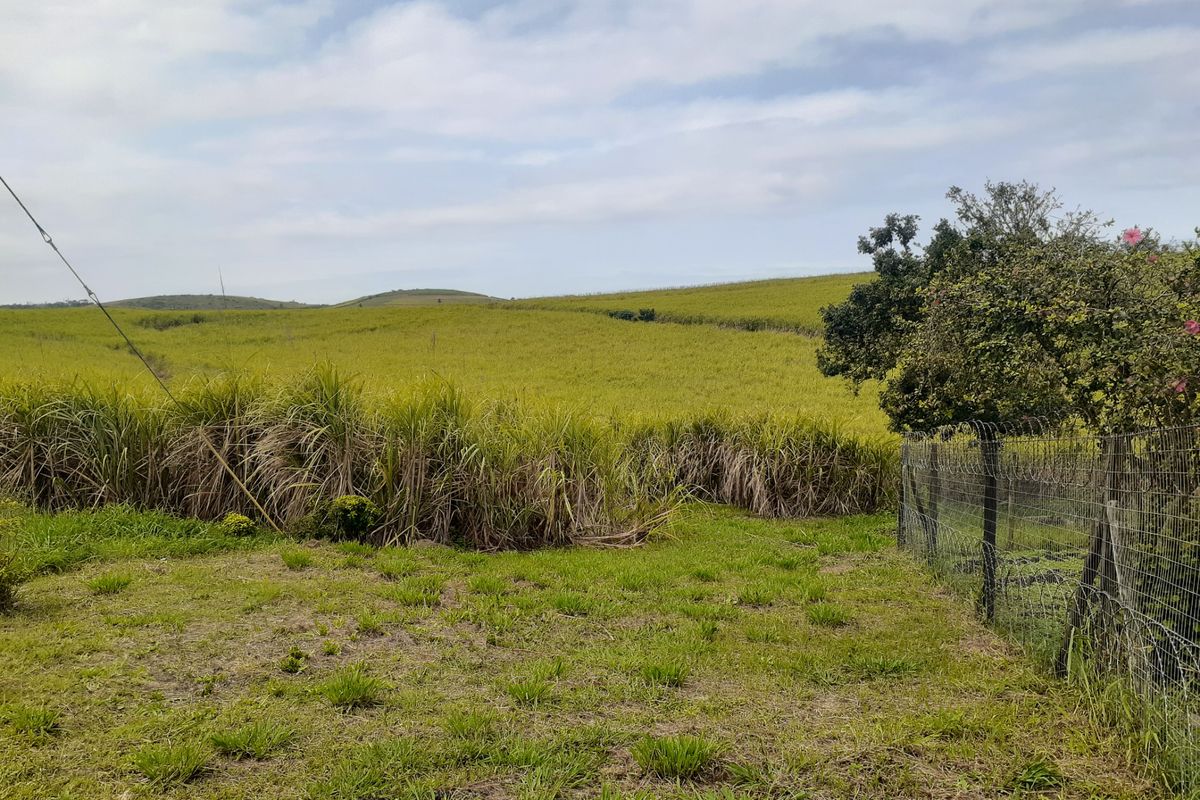 Farm For Sale in Fraser - Photo 3