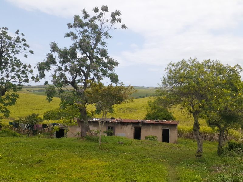 Farm For Sale in Fraser - Photo 4