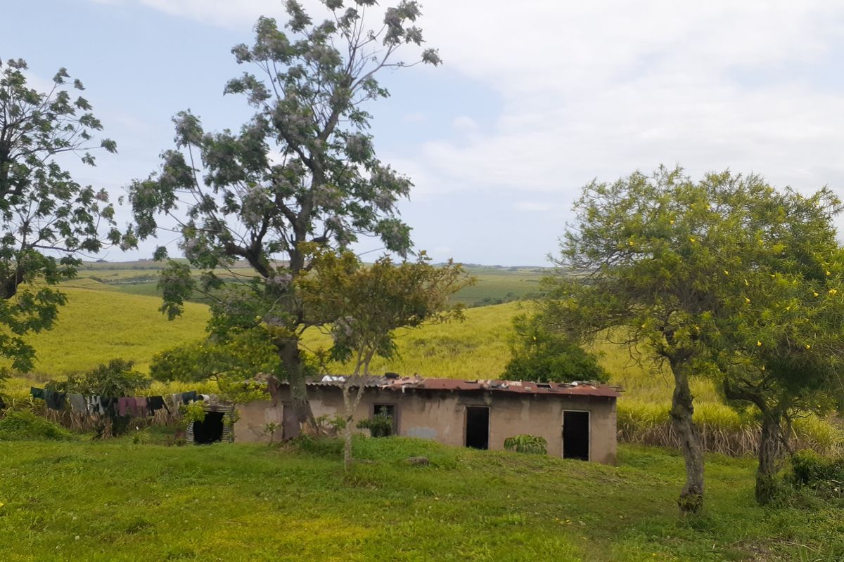 Farm For Sale in Fraser - Photo 4