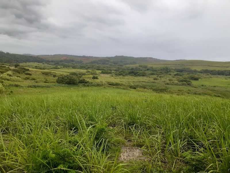 Farm For Sale in Compensation Beach - Photo 5