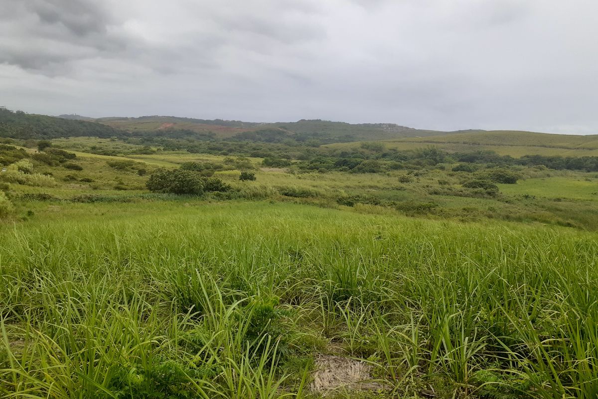 Farm For Sale in Compensation Beach - Photo 5