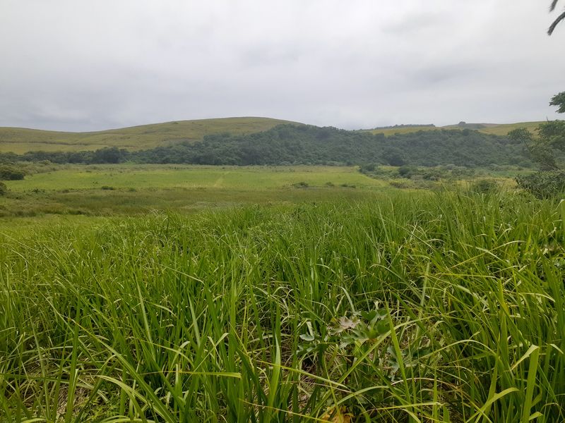 Farm For Sale in Compensation Beach - Photo 3