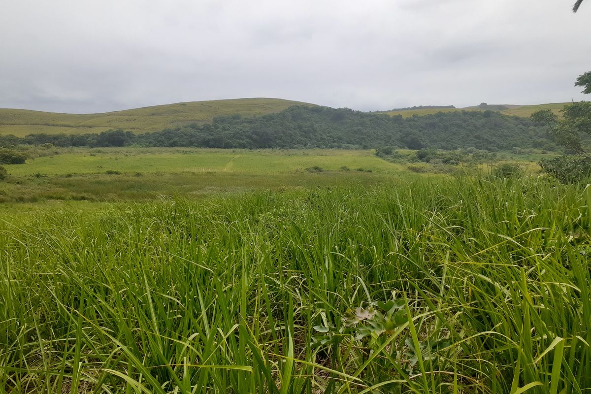 Farm For Sale in Compensation Beach - Photo 3