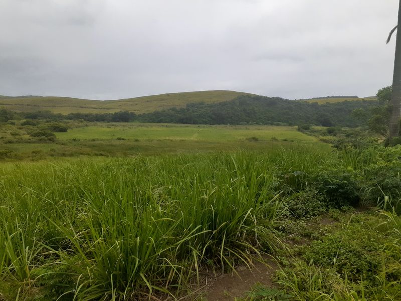 Farm For Sale in Compensation Beach - Photo 2